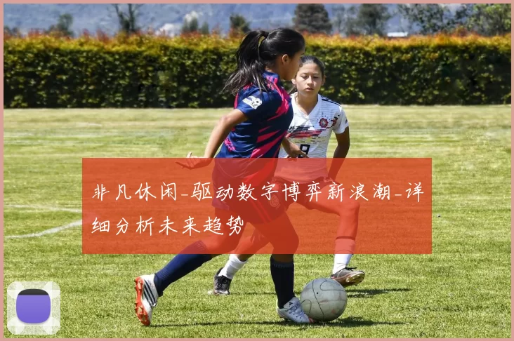 非凡休闲_驱动数字博弈新浪潮_详细分析未来趋势