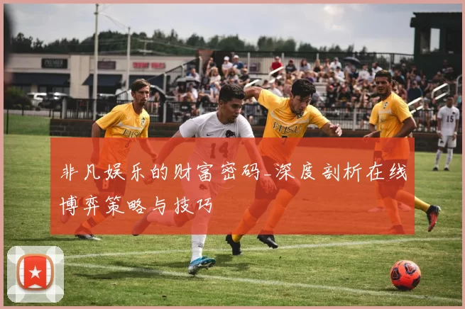 非凡娱乐的财富密码_深度剖析在线博弈策略与技巧