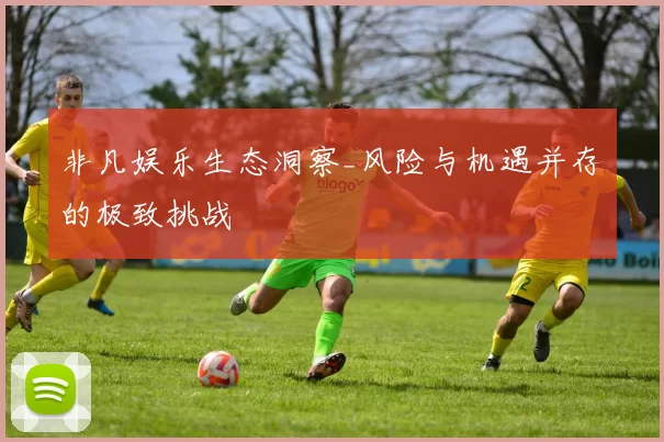 非凡娱乐生态洞察_风险与机遇并存的极致挑战