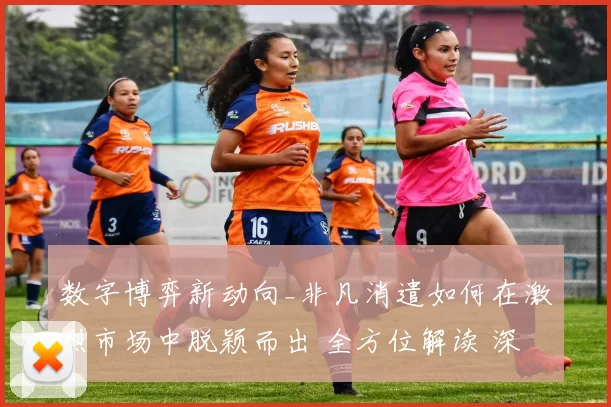 数字博弈新动向_非凡消遣如何在激烈市场中脱颖而出 全方位解读 深入解读