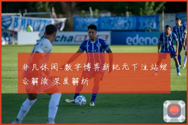 非凡休闲_数字博弈新纪元下注站综合解读 深度解析