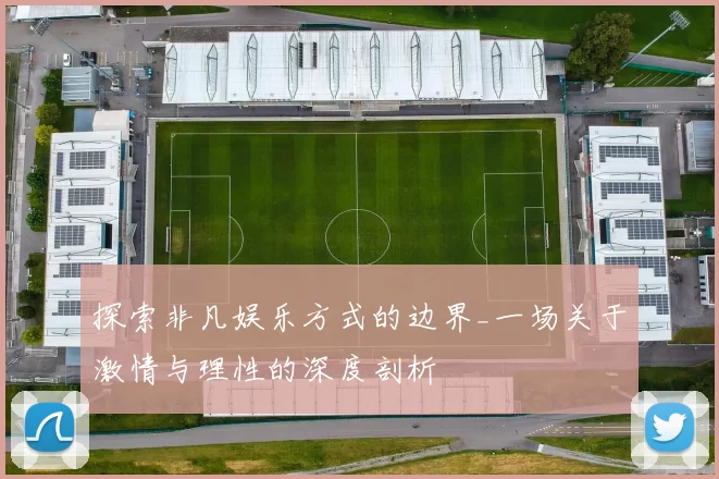 探索非凡娱乐方式的边界_一场关于激情与理性的深度剖析