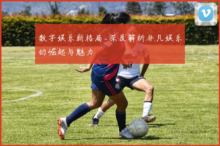 数字娱乐新格局_深度解析非凡娱乐的崛起与魅力