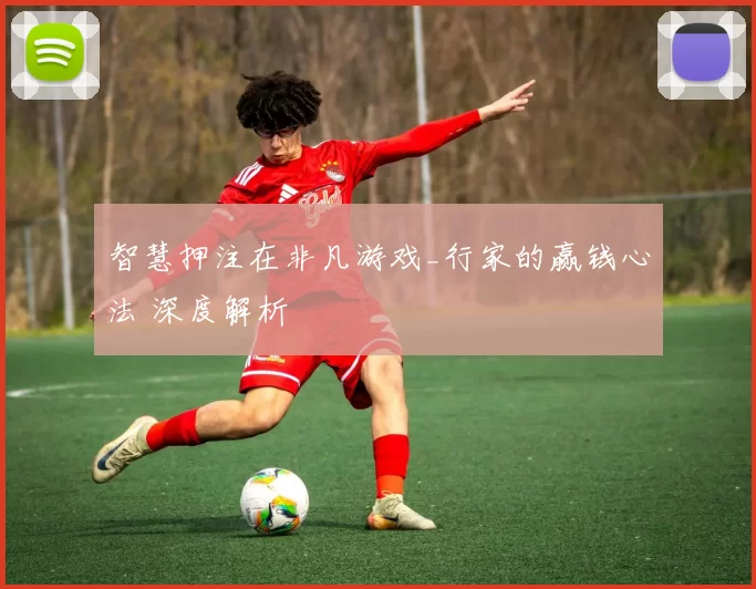 智慧押注在非凡游戏_行家的赢钱心法 深度解析