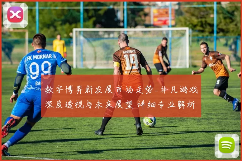 数字博弈新发展市场走势_非凡游戏深度透视与未来展望 详细专业解析