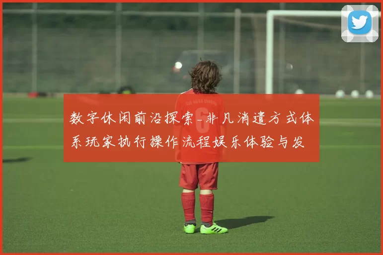 数字休闲前沿探索_非凡消遣方式体系玩家执行操作流程娱乐体验与发展变化趋势分析拆解解读透视