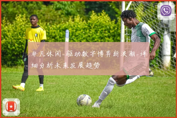 非凡休闲_驱动数字博弈新浪潮_详细分析未来发展趋势