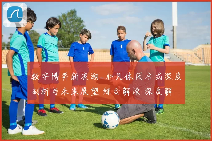 数字博弈新浪潮_非凡休闲方式深度剖析与未来展望 综合解读 深度解析