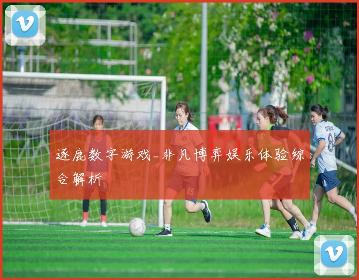 逐鹿数字游戏_非凡博弈娱乐体验综合解析