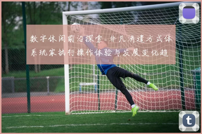 数字休闲前沿探索_非凡消遣方式体系玩家执行操作体验与发展变化趋势拆解解读透视